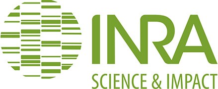 Vittel logo irna