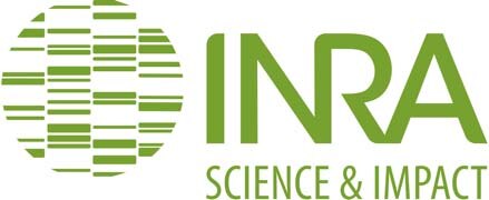 Vittel logo irna