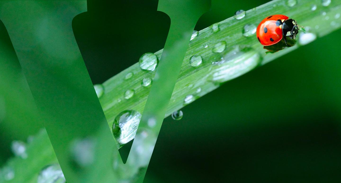 Vittel-Wasser-HP