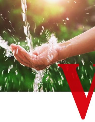 Vittel-composition-vitalite