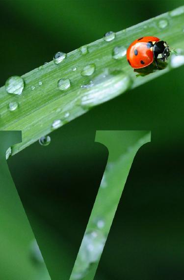 Vittel-Wasser-HP-mobil