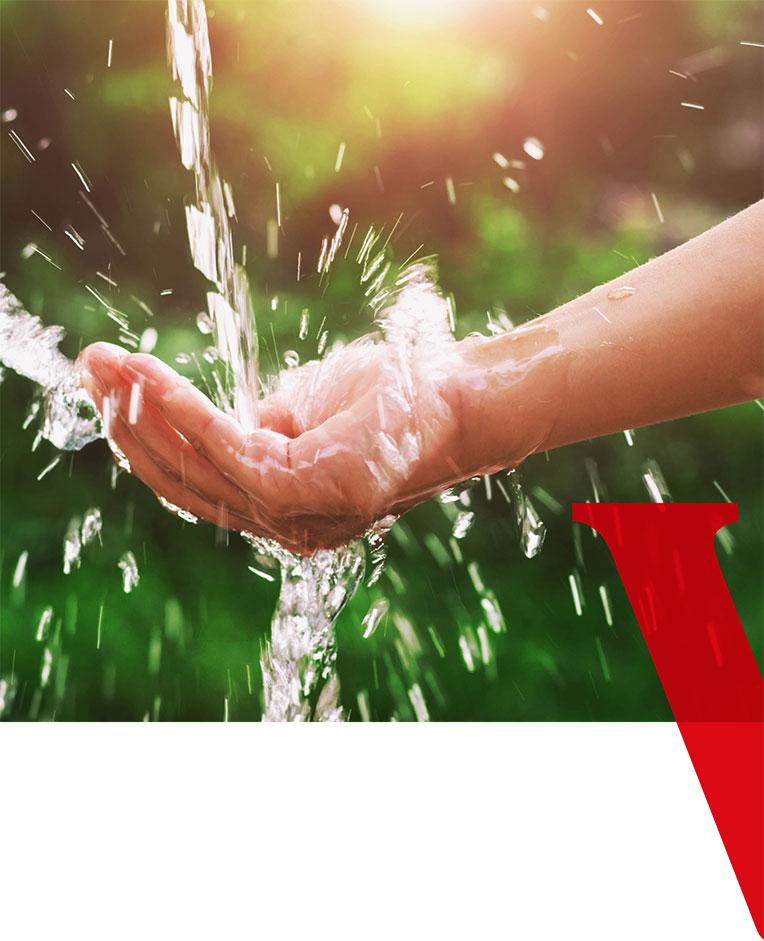 Vittel-composition-vitalite