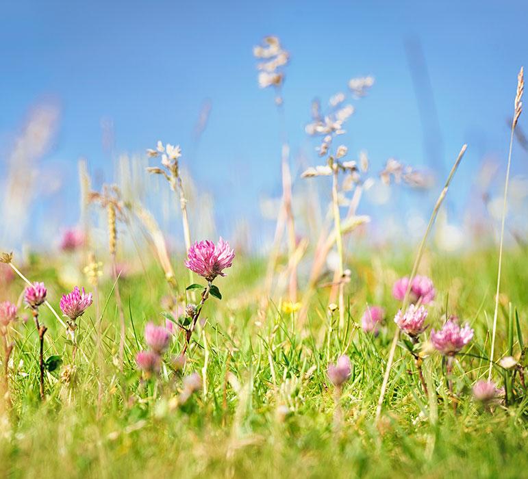 Vittel engagement biodiversite