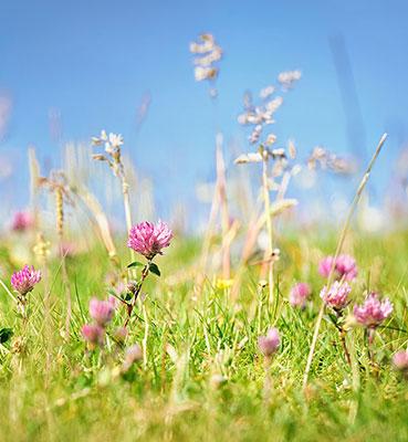 Vittel engagement biodiversite