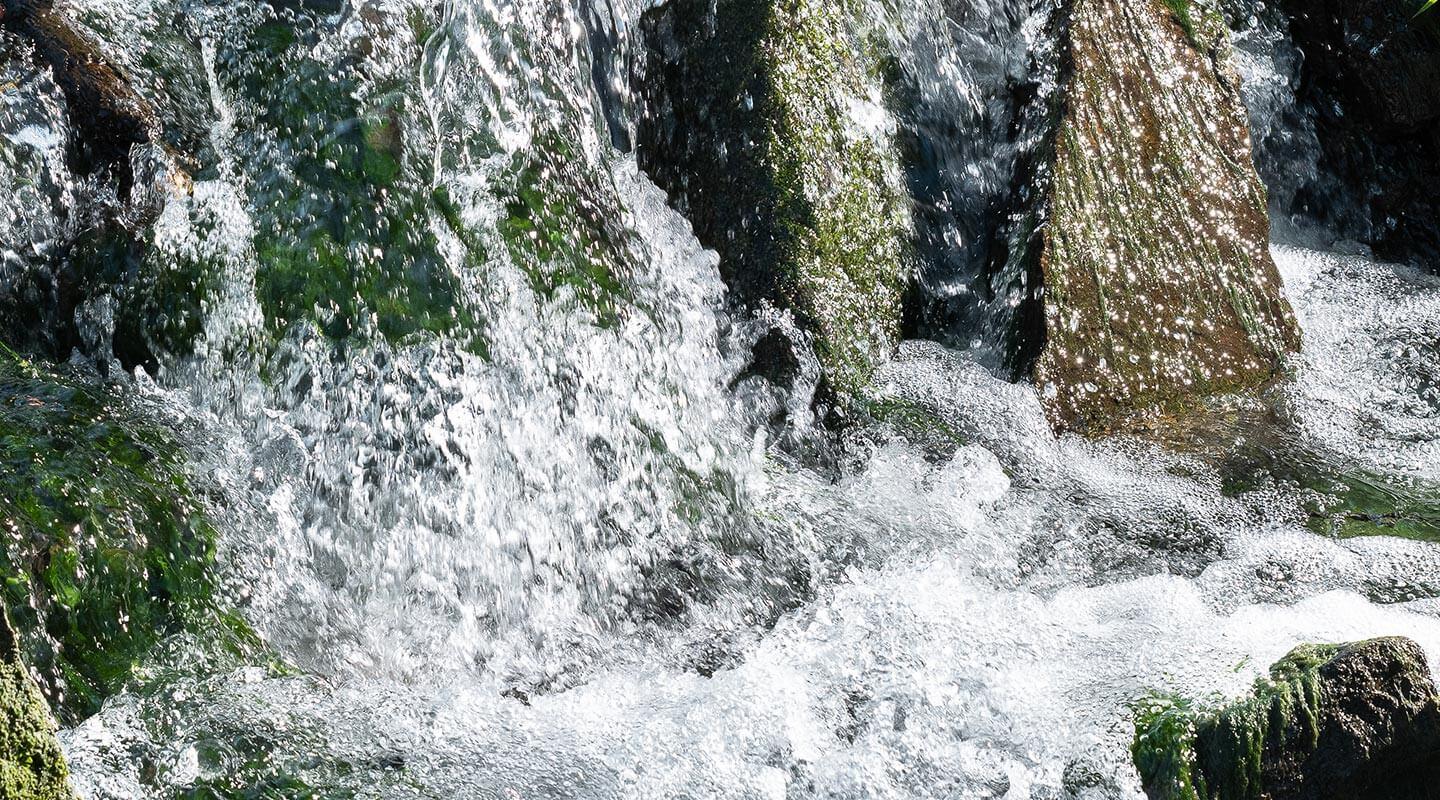 Cascade d’eau claire sur rochers moussus dans le massif des Vosges